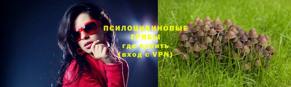 ECSTASY Абдулино