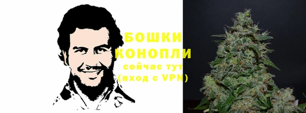 стаф Нея