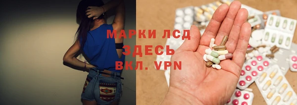 стаф Нея