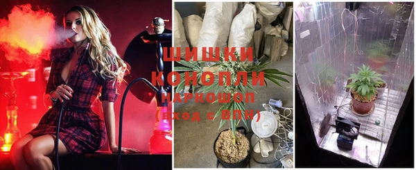 стаф Нея