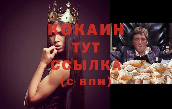 стаф Нея