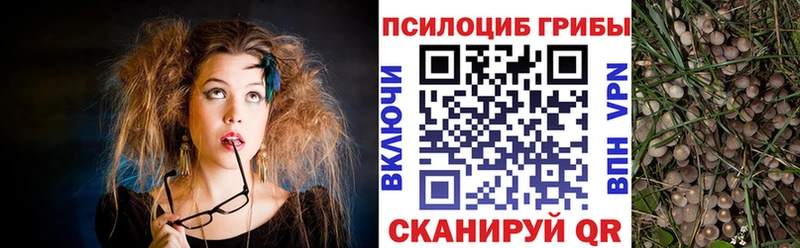 МЕГА онион  Ярославль  Галлюциногенные грибы ЛСД  даркнет сайт 