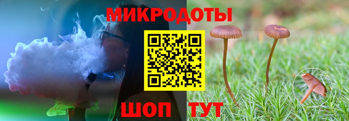 Галлюциногенные грибы Magic Shrooms  Вход с VPN  Ярославль  Псилоцибиновые грибы мицелий 